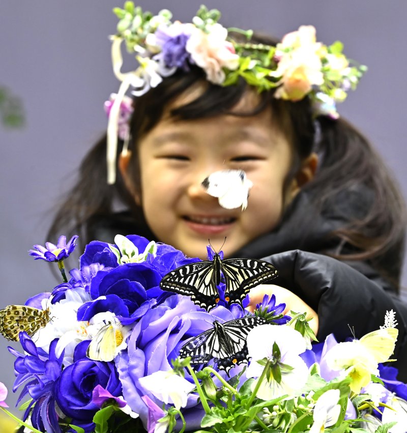 [용인=뉴시스] 김종택 기자 = 절기상 소한인 5일 경기 용인시 에버랜드 나비의 꿈꾸는 정원을 찾은 어린이가 봄의 전령 나비를 살펴보고 있다. 2026.01.05. jtk@newsis.com