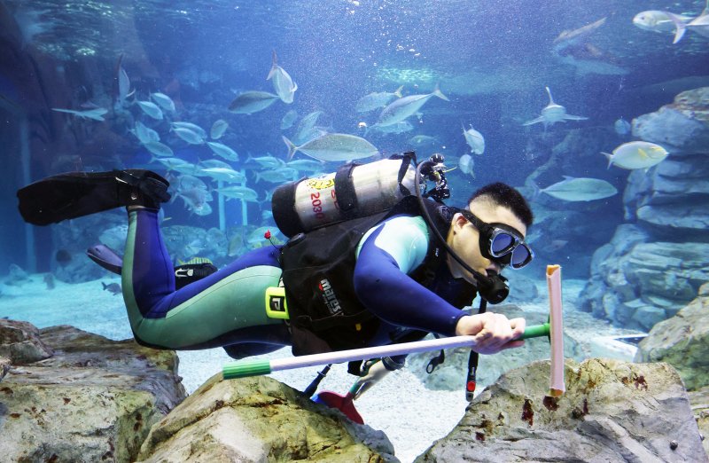 5일 경기 수원시 영통구 아쿠아플라넷 광교에서 새해를 맞아 다이버가 수조 청소를 하고 있다. 2026.1.5/뉴스1 ⓒ News1 김영운 기자