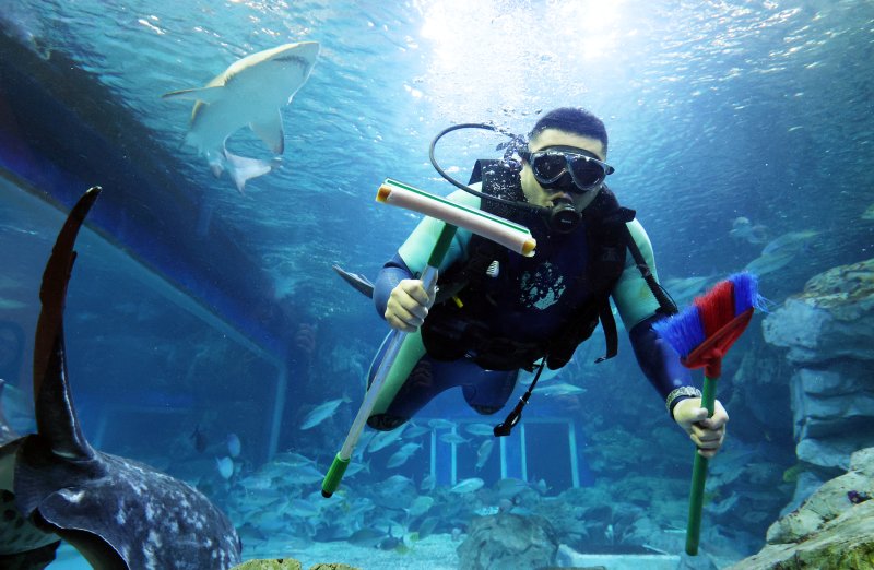 5일 경기 수원시 영통구 아쿠아플라넷 광교에서 새해를 맞아 다이버가 수조 청소를 하고 있다. 2026.1.5/뉴스1 ⓒ News1 김영운 기자