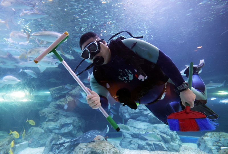 5일 경기 수원시 영통구 아쿠아플라넷 광교에서 새해를 맞아 다이버가 수조 청소를 하고 있다. 2026.1.5/뉴스1 ⓒ News1 김영운 기자