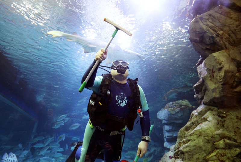 5일 경기 수원시 영통구 아쿠아플라넷 광교에서 새해를 맞아 다이버가 수조 청소를 하고 있다. 2026.1.5/뉴스1 ⓒ News1 김영운 기자