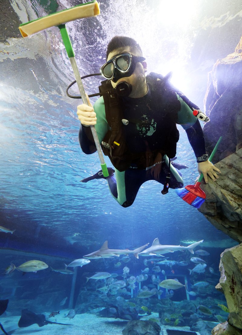 5일 경기 수원시 영통구 아쿠아플라넷 광교에서 새해를 맞아 다이버가 수조 청소를 하고 있다. 2026.1.5/뉴스1 ⓒ News1 김영운 기자