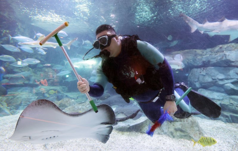 5일 경기 수원시 영통구 아쿠아플라넷 광교에서 새해를 맞아 다이버가 수조 청소를 하고 있다. 2026.1.5/뉴스1 ⓒ News1 김영운 기자