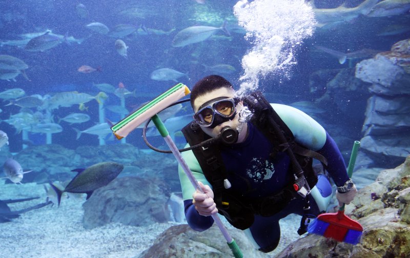 5일 경기 수원시 영통구 아쿠아플라넷 광교에서 새해를 맞아 다이버가 수조 청소를 하고 있다. 2026.1.5/뉴스1 ⓒ News1 김영운 기자