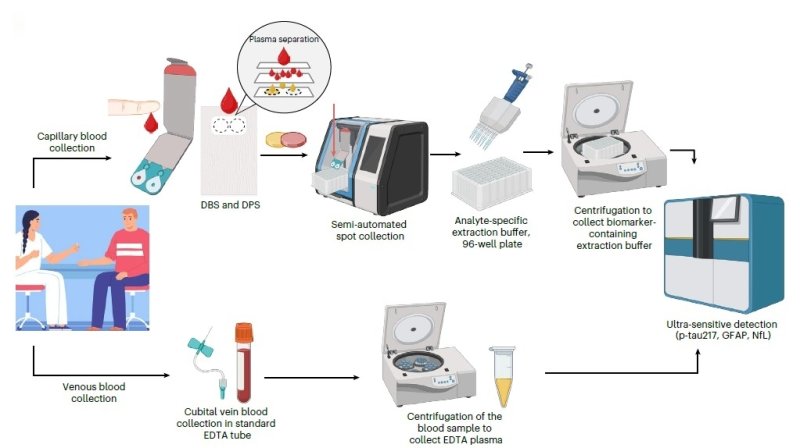 정맥 혈장과 손가락 끝 채취 혈액 건조 샘플을 이용한 알츠하이머병 생체표지 검사 (출처=연합뉴스)