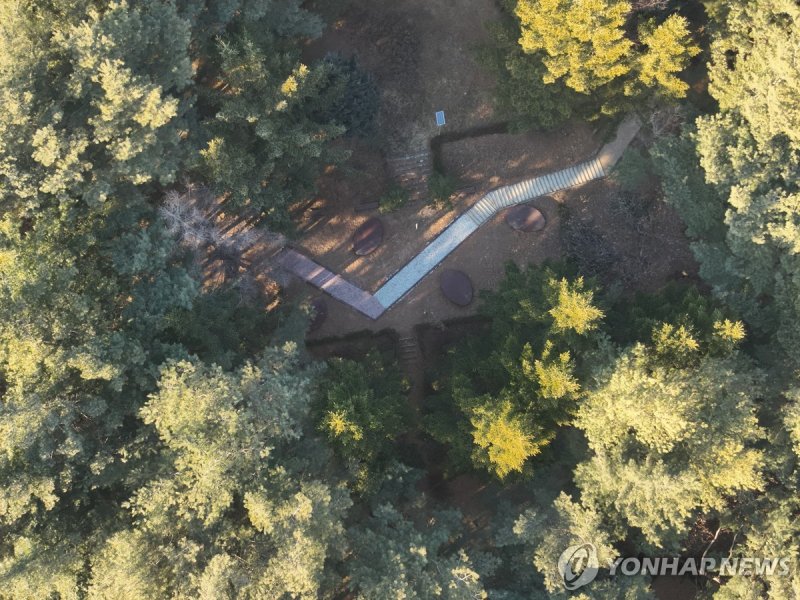 정선군 비봉산 산림공원 (출처=연합뉴스)