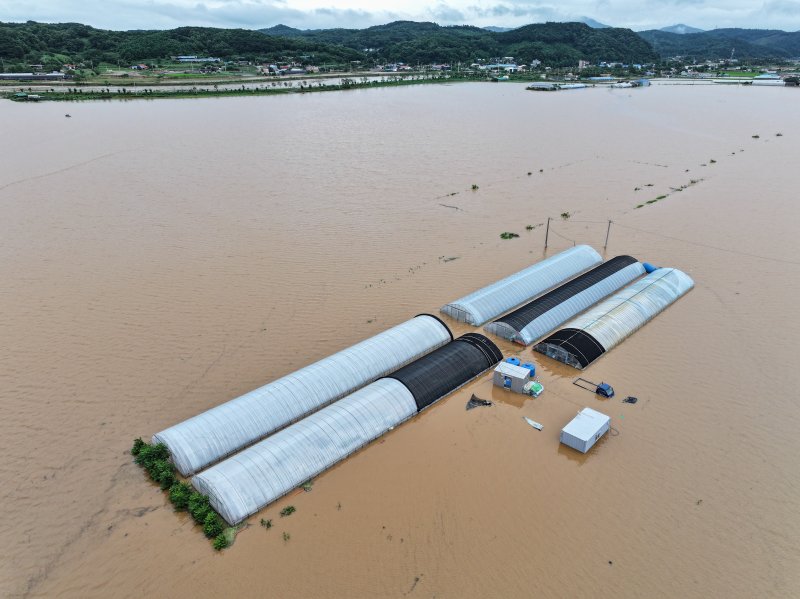 충남 당진시 행정동 일대가 역천 범람으로 침수돼 있다. 2025.7.17/뉴스1 ⓒ News1 김도우 기자