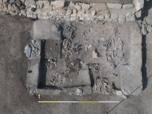 세운4구역 부지에서 발견된 소뼈 (출처=연합뉴스)