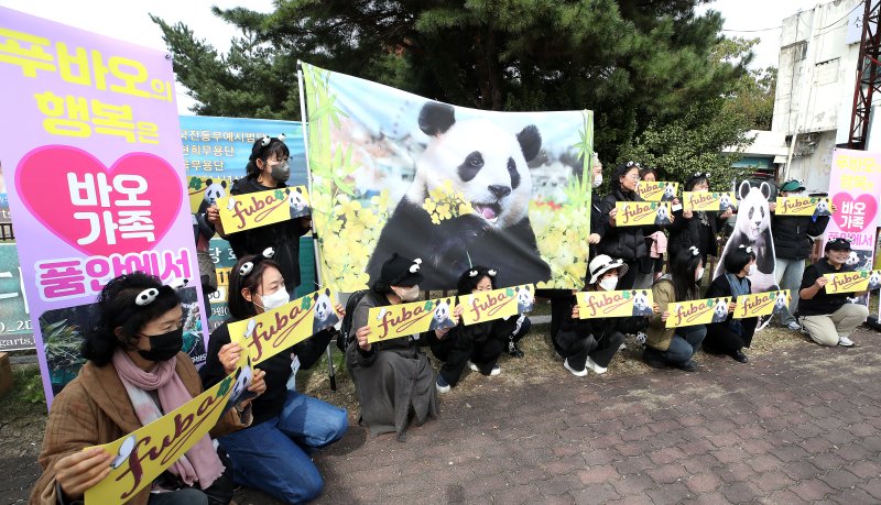 인터넷 커뮤니티 '푸바오구출대작전' 회원들이 APEC 정상회의에 참석하는 중국 시진핑 주석의 경주 방문을 앞두고 경주시 황남동 내남네거리에서 푸바오의 사육 환경 개선을 요구하는 기자회견을 열고 있다. 2025.10.30/뉴스1 ⓒ News1 공정식 기자
