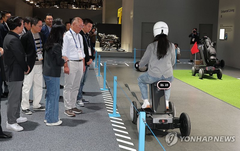 부스 둘러보는 정의선 회장 (출처=연합뉴스)