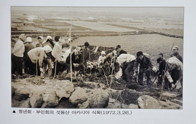 섯동산 아카시아 식목 장면 (출처=연합뉴스)