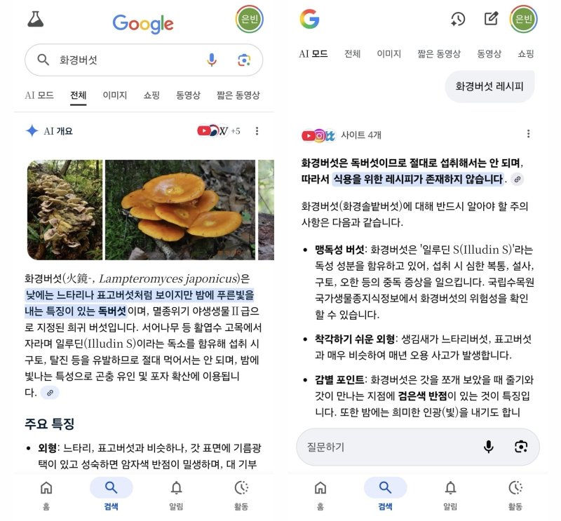 (구글 AI 개요 및 AI 모드 갈무리)