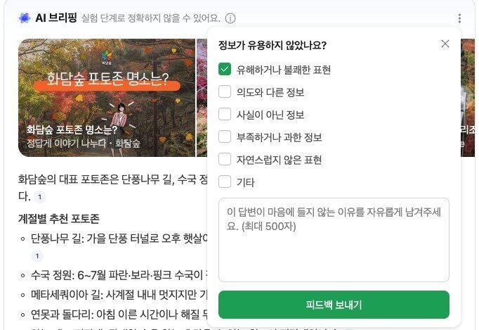 네이버 AI 브리핑 피드백 기능 (네이버 AI 브리핑 갈무리)