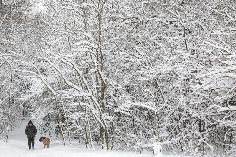 [부다페스트=신화/뉴시스] 7일(현지 시간) 헝가리 부다페스트에서 한 남성이 반려견과 함께 눈길을 걷고 있다. 2026.01.08.
