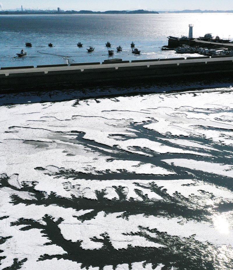 [화성=뉴시스] 김종택 기자 = 강추위가 찾아온 8일 경기 화성시 서신면 매향리 포구 갯벌이 꽁꽁 얼어있다. 2026.01.08. jtk@newsis.com