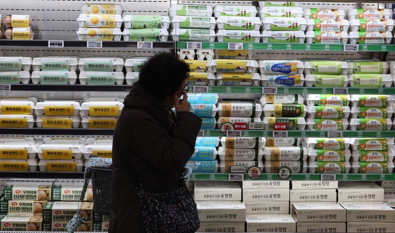 [서울=뉴시스] 이영환 기자 = 조류인플루엔자(AI) 확산 여파로 계란 한판 기준 소매가가 7천원을 넘어선 7일 오후 서울 시내의 한 대형마트에서 고객이 계란을 살펴보고 있다.구윤철 부총리 겸 재정경제부 장관은 이날 민생경제관계장관회의를 주재하고 계란값 인상과 관련해 "신선란 224만개 수입 절차에 즉시 착수해 1월중 시장에 공급하고, 수급상황에 따라 계란 납품단가 인하도 추진하겠다"고 강조했다. 2026.01.07. 20hwan@newsis.com