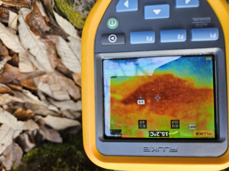 [의성=뉴시스] 의성군 빙계계곡 온혈지대 (사진=의성군 제공) 2026.01.09. photo@newsis.com *재판매 및 DB 금지