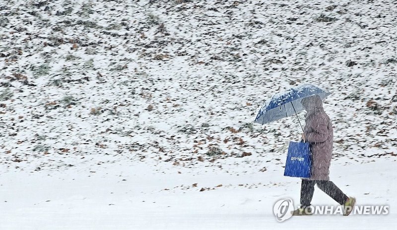 폭설 내리는 춘천 (출처=연합뉴스)
