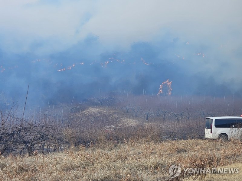 의성군서 산불 발생 (출처=연합뉴스)