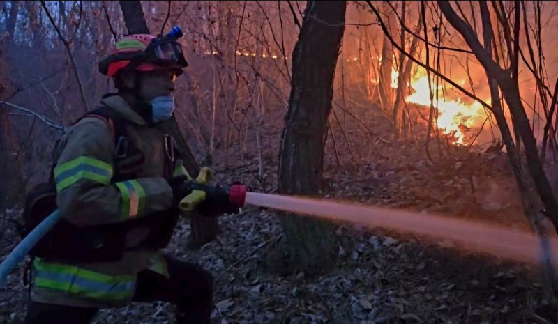 10일 오후 3시 14분쯤 경북 의성군 의성읍 비봉리의 한 야산에서 대형 산불이 발생해 소방 당국이 대응2단계를 발령하고 진화에 나서고 있다. (경북소방안전본부 제공. 재판매 및 DB 금지) /뉴스1