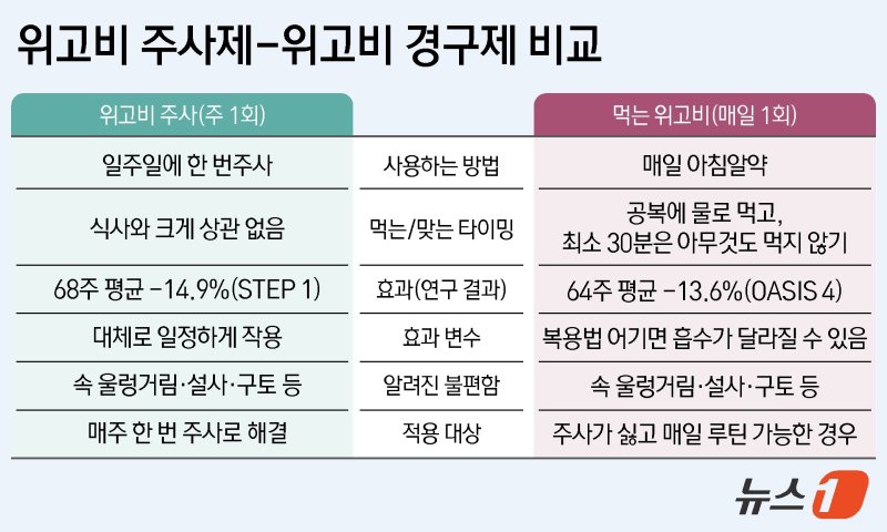 ⓒ News1 김지영 디자이너