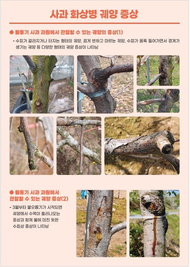 과수화상병 *재판매 및 DB 금지