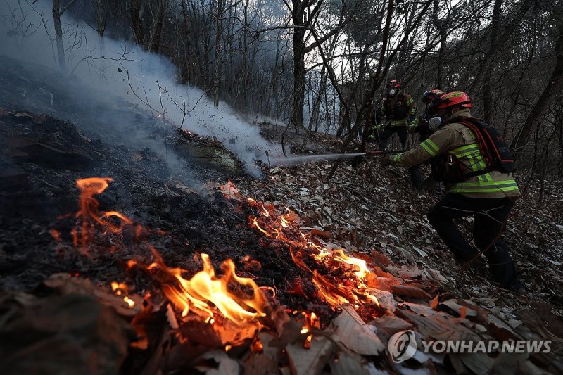 잔불진화하는 119산불특수대응단 (출처=연합뉴스)