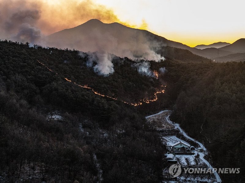 눈이 막아낸 산불 (출처=연합뉴스)
