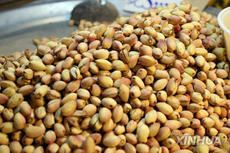 피스타치오 (출처=연합뉴스)