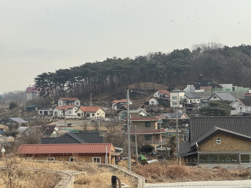 인천 강화군 송해면 하도리.2026.1.12/뉴스1