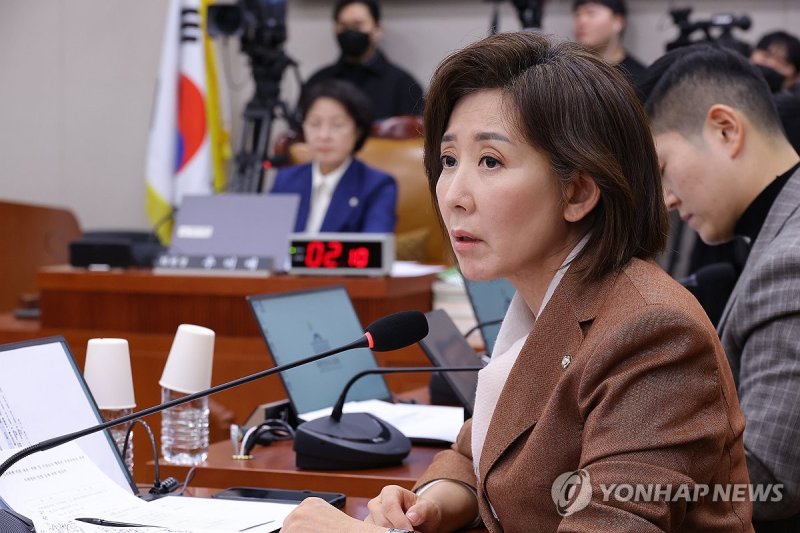 질의하는 나경원 의원 (출처=연합뉴스)