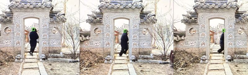 소니 A7M5의 전자식 셔터를 이용해 연속 촬영을 하자 자동 초점(AF) 기능이 피사체를 끈질기게 따라가고 있다. 사진=최혜림 기자