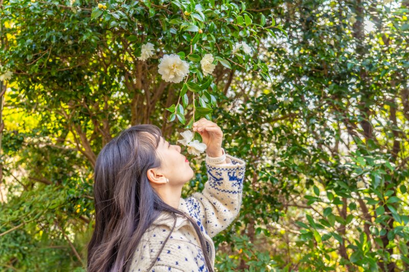 제주 WE호텔에서 진행하는 힐링 포레스트 프로그램.