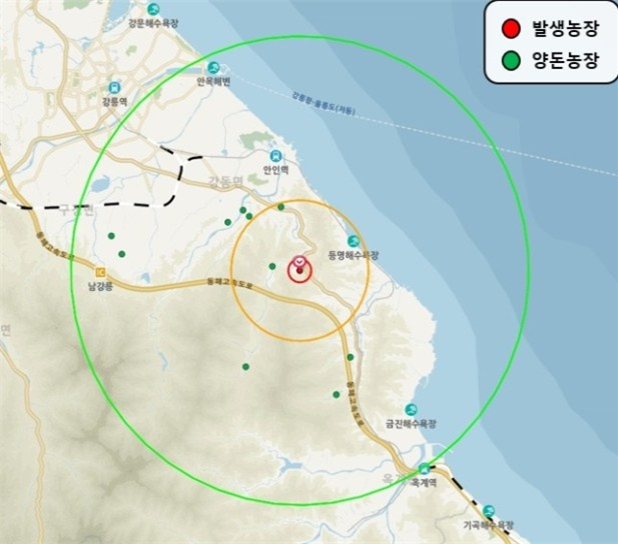강릉 아프리카돼지열병 방역대. 강원자치도 제공