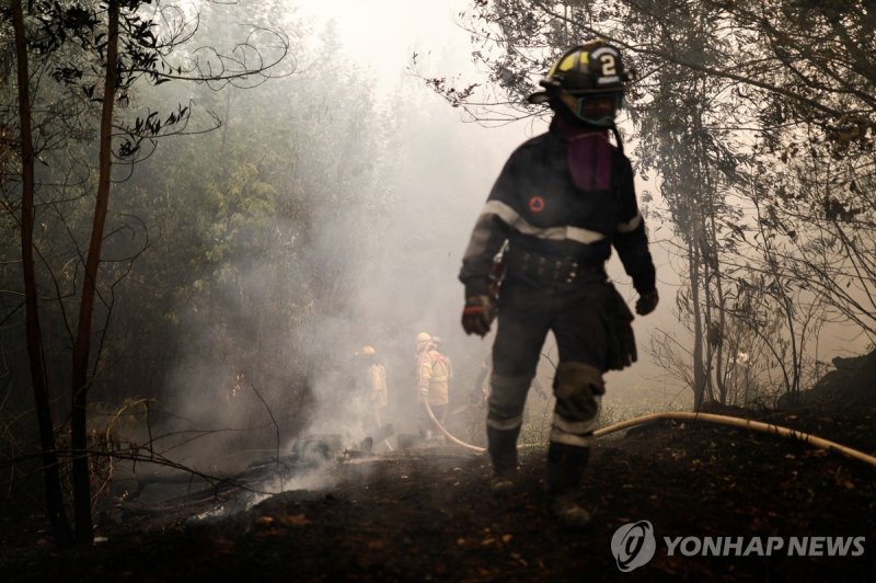 19일(현지시간) 산불 진화하는 칠레 소방대원 (출처=연합뉴스)