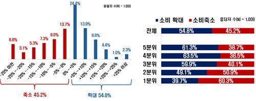 올해 소비지출 전망 (출처=연합뉴스)