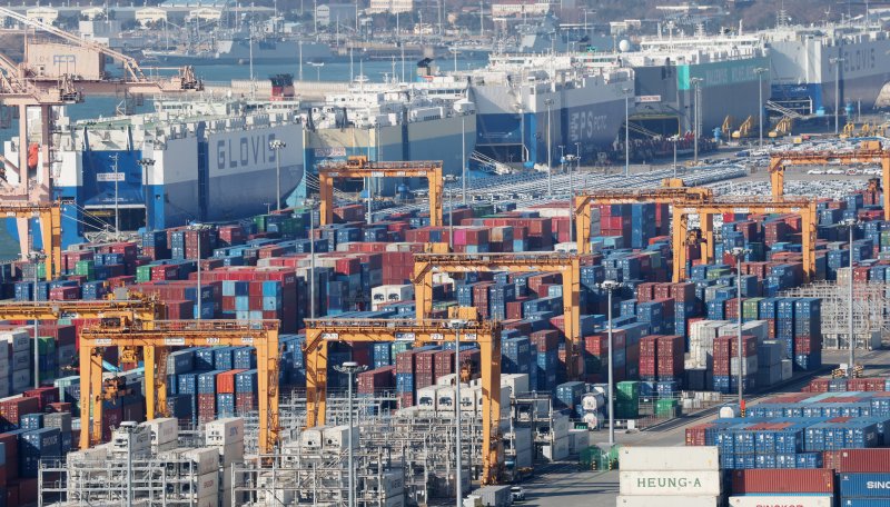 13일 경기 평택시 포승읍 평택항에 수출용 컨테이너가 쌓여있는 모습. 2026.1.13/뉴스1 ⓒ News1 김영운 기자