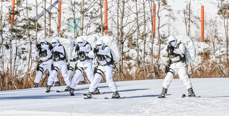 육군 특전사 장병들이 설한지 극복훈련 간 스키를 활용한 전술기동을 실시하고 있다. 육군 제공