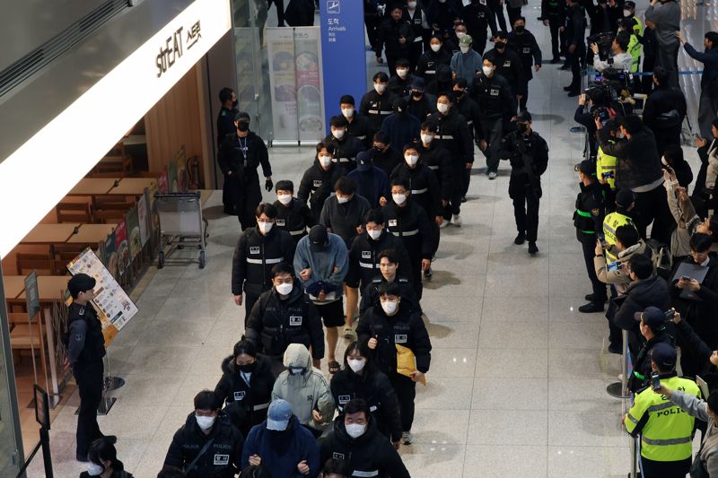 [영상] 캄보디아 스캠 조직원 73명 송환...단일 국가 기준 역대 최대 규모