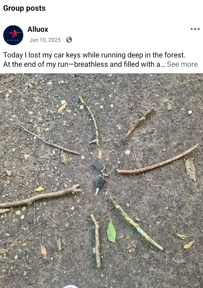 눈길에 떨어진 자동차 키를 찾으려는 주인을 위해 차키 주변에 나뭇 가지로 표시 해뒀다는 SNS글에 지난해에도 비슷한 사연이 있었다며 올라온 댓글./사진=X 캡처