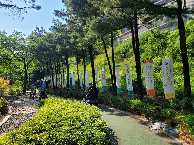 공모사업에 선정된 지역문화예술단체의 서예작품 전시 모습 (출처=연합뉴스)