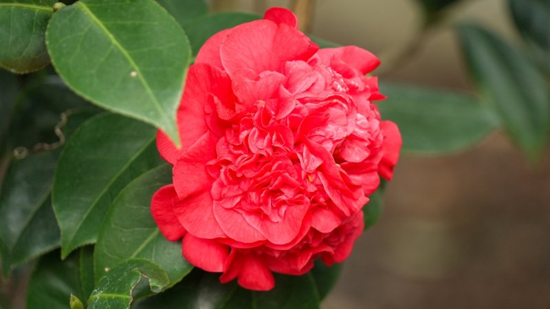 파이어 폴스 (출처=연합뉴스)