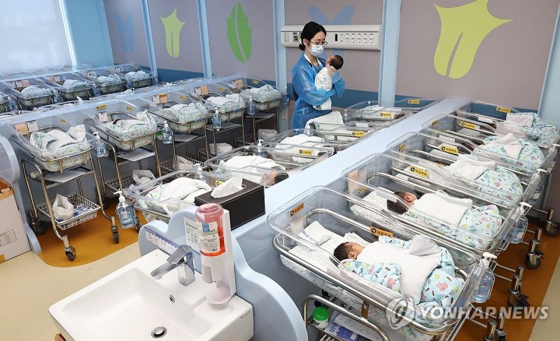 출생아 2년 연속 증가 전망 (출처=연합뉴스)