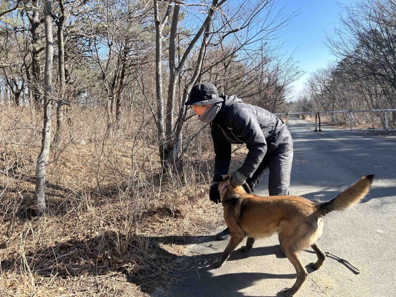 수색·구조 훈련 현장 (출처=연합뉴스)