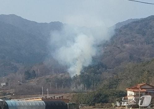 하동 산불 현장(산림청 제공. 재판매 및 DB금지). 2026.1.29