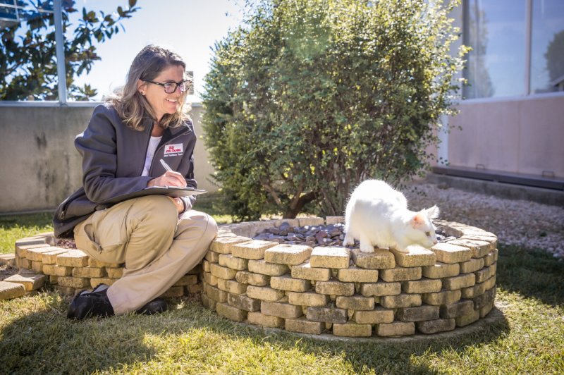 로얄캐닌 펫센터 모습