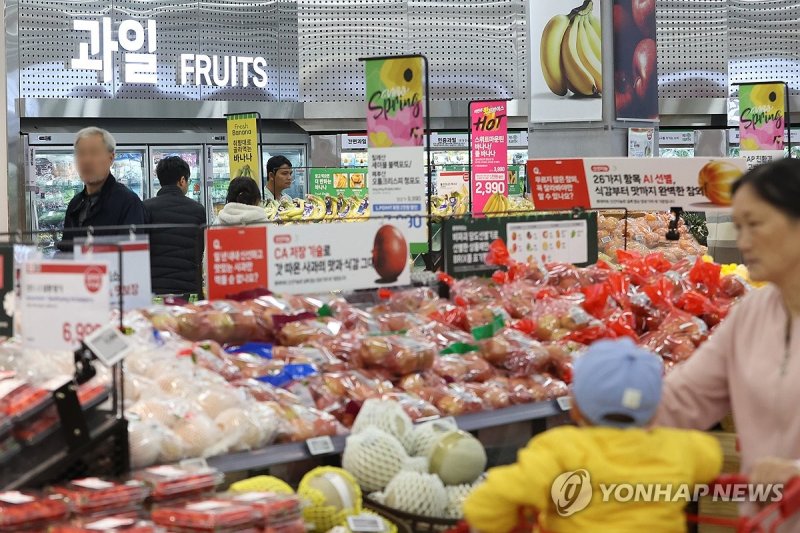 서울 시내 한 대형마트에서 장을 보는 시민들 (출처=연합뉴스)