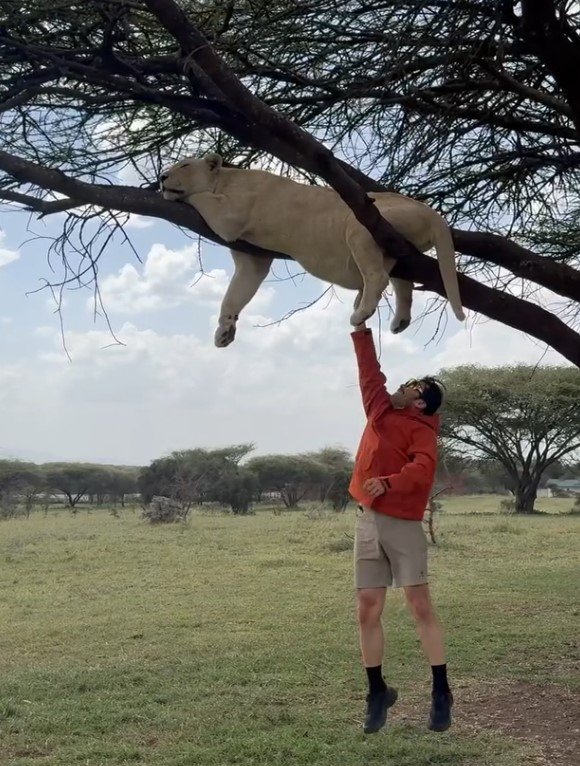 "잠자는 사자 건드려"…노홍철, 아프리카서 간담 서늘 근황