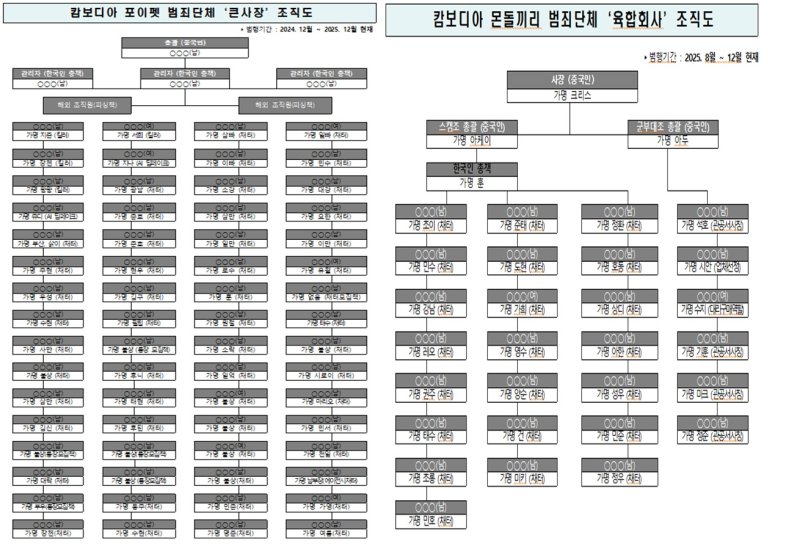 캄보디아 현지 범죄단체 조직도. / 뉴스1