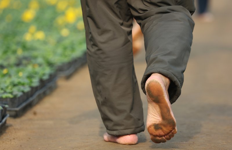 절기상 입춘(立春)을 닷새 앞둔 30일 경기 안양시 동안구 비산3동 꽃양묘장 비닐하우스 안에서 시민들이 신발을 벗고 맨발로 흙길을 걷고 있다. 2026.1.30/뉴스1 ⓒ News1 김영운 기자